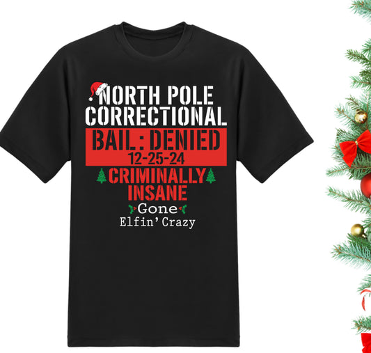 Christmas Correctional T-shirts